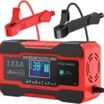 Car Battery Charger 10-Amp, 12V and 24V Smart Car Battery Charger AU Plug,Trickle Charger for Car - Smart Fully-Automatic Battery Maintainer with Temperature Compensation and LCD Display