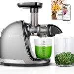 AMZCHEF Cold Press Juicer for Whole Fruits and Vegetables,Masticating Slow Juicer Machines with Reverse Function, High Juice Yield, Easy to Clean, BPA Free Juice Extractor with 2 Cups and Brush，Gray