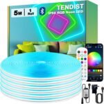 5M Outdoor RGB Neon Rope Light, IP68 Waterproof Flexible Neon Bluetooth Led Lights with Remote and Smart App Control, 24V Silicone Music Sync Led Strip for Patio, Balcony, Bedroom Decor