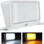 RV Porch Light w/Switch 2CCT White Amber Switchable 12V Campervan Exterior Utility LED Replacement Light for Camper Motorhome Caravan and Truck, 410 Lumen & Red Nightlight