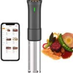 Inkbird Culinary Sous Vide ISV-200W Wi-Fi Precision Cooker 1000W Immersion Circulator with Stainless Steel Components