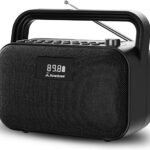 Avantree PowerByte - Portable Digital FM Radio with Powerful 30W Stereo Bluetooth Speakers & SD Card Player, 20hr Rechargeable Playtime, Extended Range, Wireless Loud Outdoor Speaker & U Disk Player