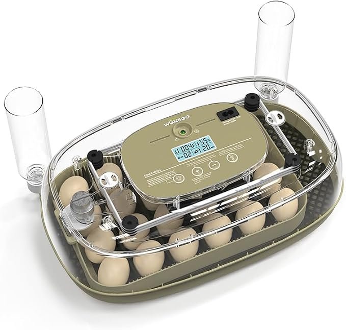516Q5l-ZJtL._AC_SX679_ Friends+ Egg Incubator – 24 Egg Capacity | Hatches Chicken, Quail, Duck, Goose Eggs | Auto Turner, Water Separation Grate, AU Plug | Home & Farm Use - Image 1