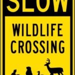 Vintage Metal Sign Slow Wildlife Crossing 8x12 inch