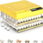 144 Egg Incubator for Hatching Eggs, Fully Automatic Egg Incubator with Auto Temp/Water/Turning, for Chicken Duck Goose Quail Pigeon Turtle Eggs, Humidity Control by Bottles, 360° View Clear Window