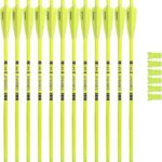 Crossbow Bolts 20inch Fluorescence Color Carbon Crossbow Hunting Arrows with 4" Vanes and Replaced Arrowhead(12 Pack)