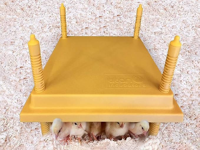 71kBrdn+gRL._AC_SX679_ Chick Brooder Hen/Mother Hen - Heat Lamp Replacement - Up to 25 Chicks - 30x30cm - Image 1