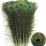 THARAHT 24pcs Peacock Feathers Long Natural in Bulk 32-35 inch 80-90 cm for Vase Craft Vase Wedding Home Party Christmas Day Decoration Peacock Feathers