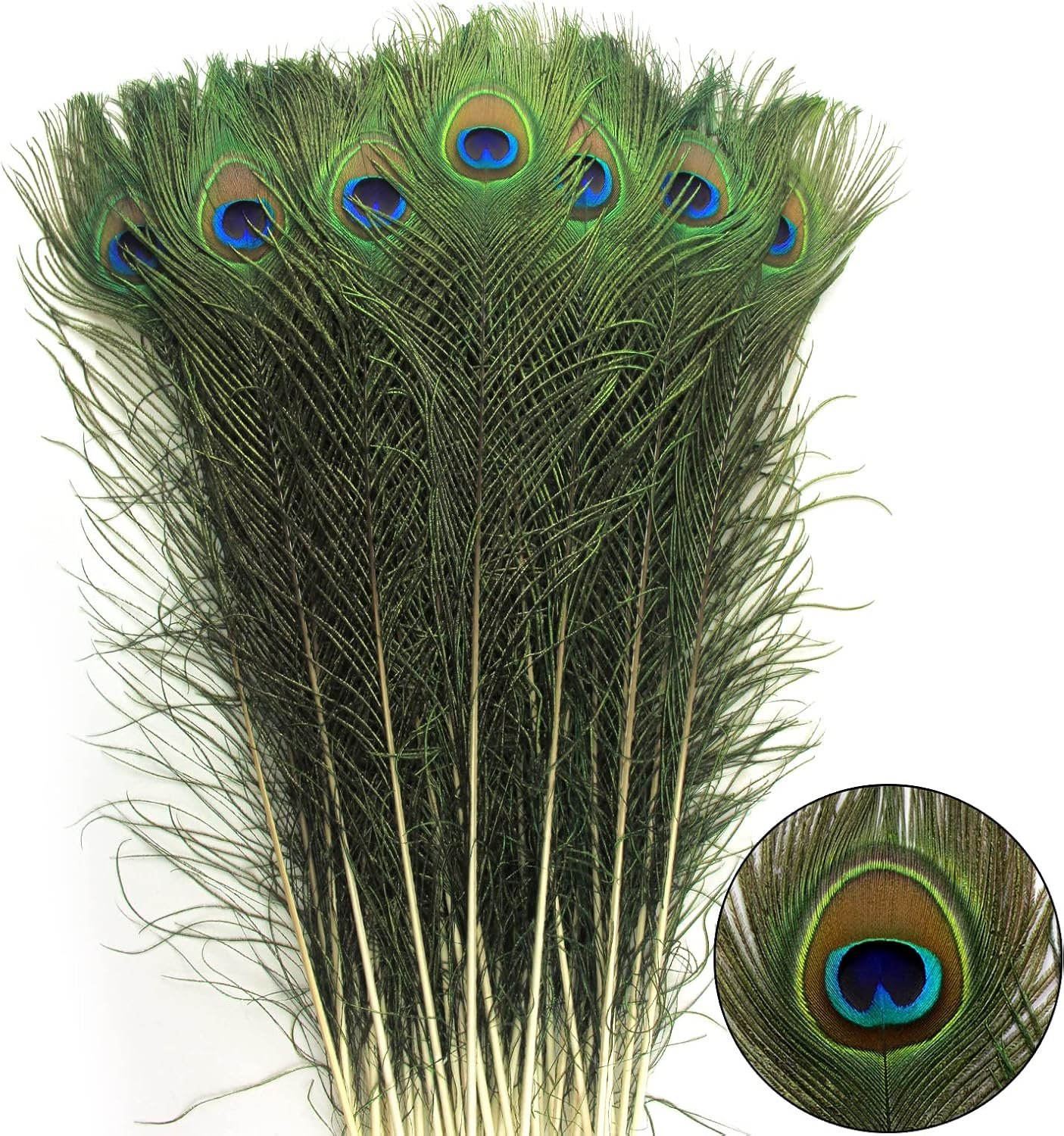 81t0YdKTJXL._AC_SL1500_ THARAHT 24pcs Peacock Feathers Long Natural in Bulk 32-35 inch 80-90 cm for Vase Craft Vase Wedding Home Party Christmas Day Decoration Peacock Feathers